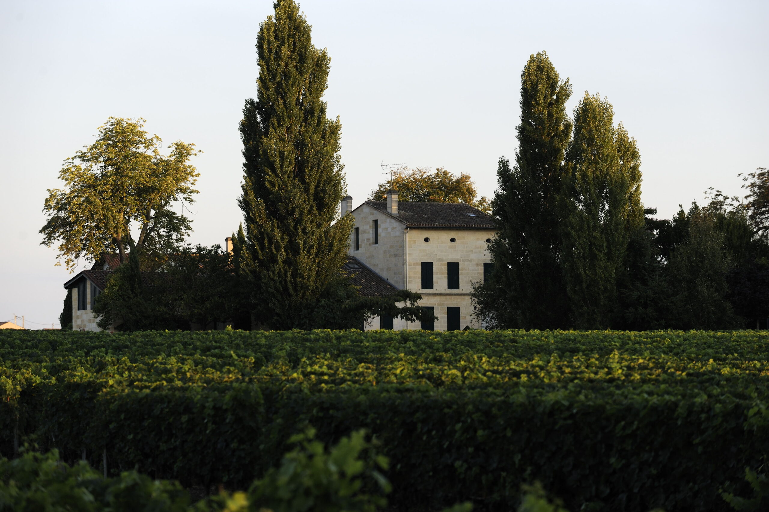 Château La Grave à Pomerol